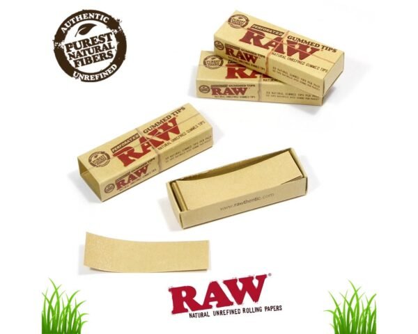 RAW | Perforated Gummed Natural Tips | Bundle of 3
