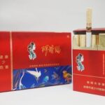 ASHIMA RED INTERNATIONAL